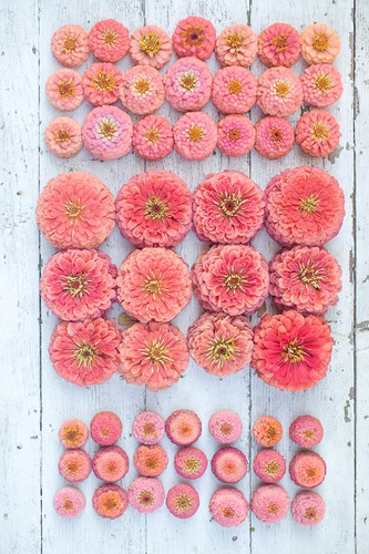 81NDQ99KfEL. AC SL1500 .jpg