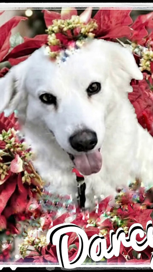 zZ6m9LkGYA kymrM.jpg