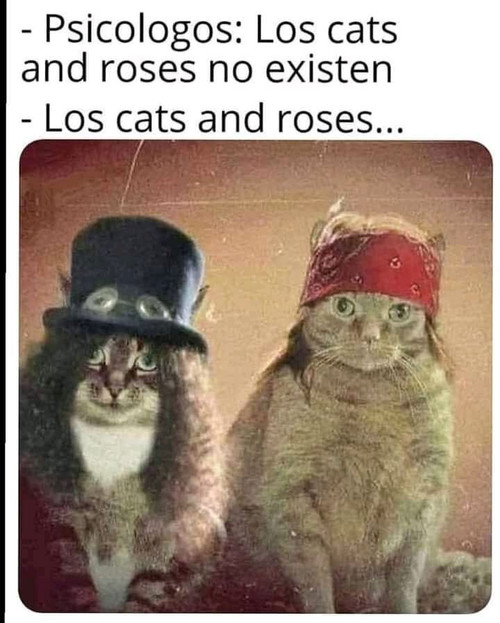 psicologos los cats and roses no existen los cats and roses 166367.jpg