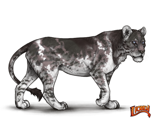 IMG 7706.png