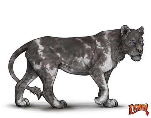 IMG 7705.png