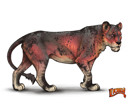 IMG 7694.png