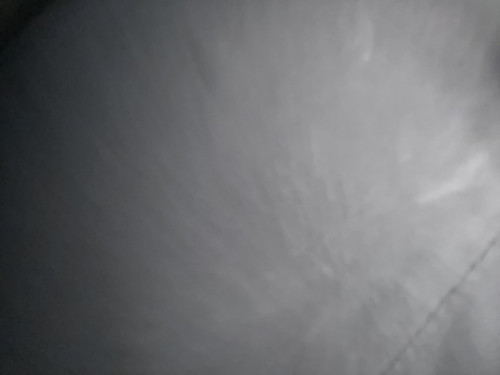 IMG 6325.jpg