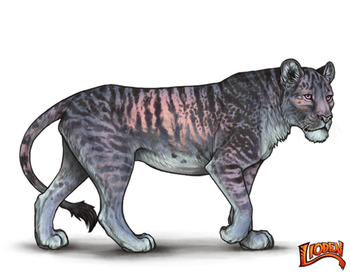 IMG 7700.png