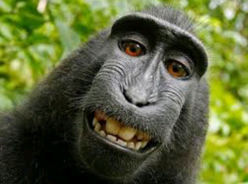 Screenshot 20251204 113220.jpg