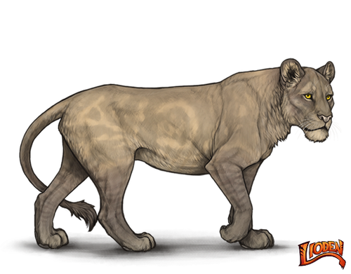 IMG 7690.png