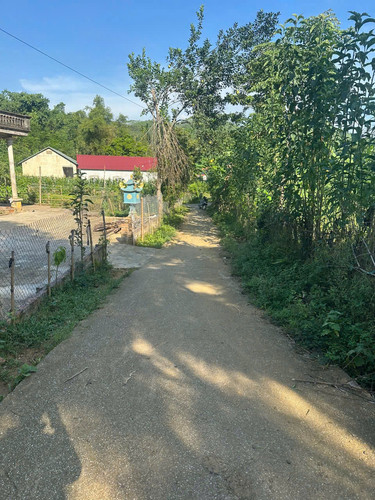 z7277568338987 db74784d4715fdd970f3a16f7abbcfea.jpg