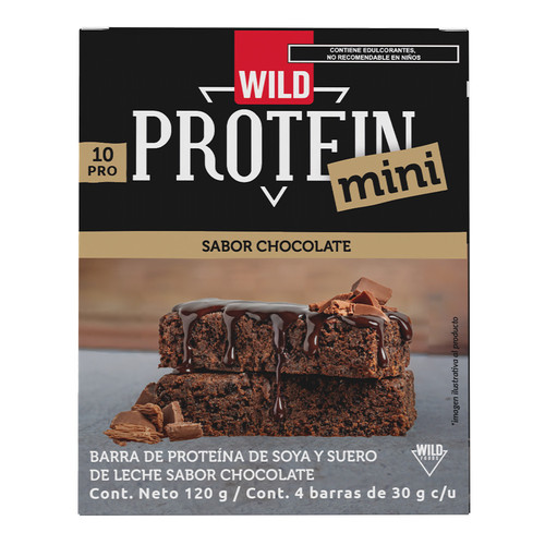 Chocolate frontis.jpg
