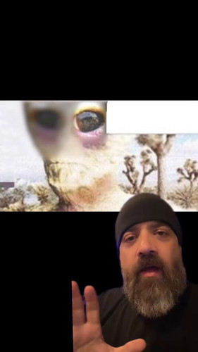 A4kDJ6RWDoca 6y9.jpg
