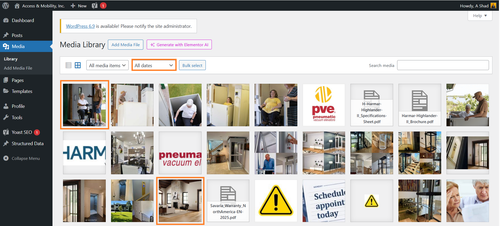 Access and Mobility Alt Tags