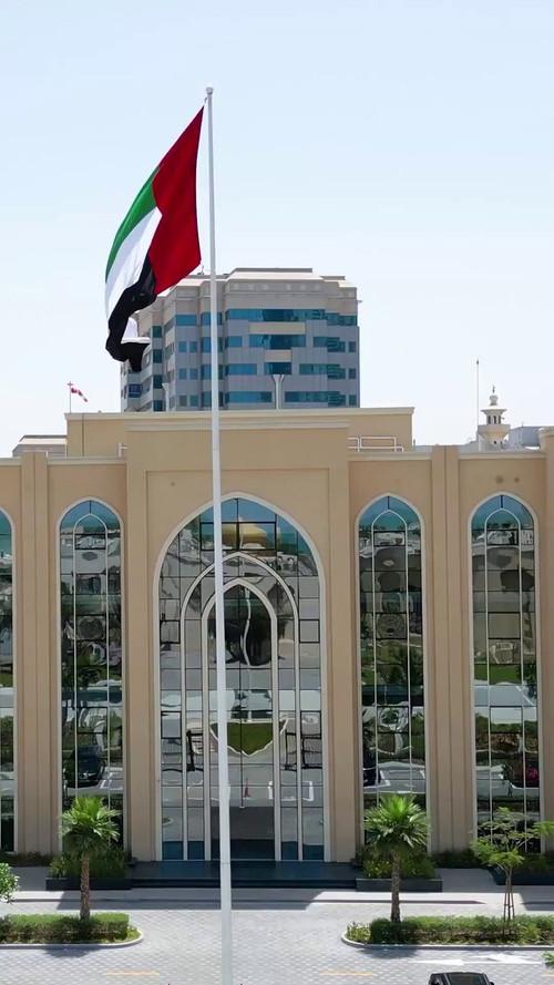 cv6FIBVXa5zGqM V.jpg