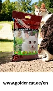 Smart cat feeder Dubai.jpg