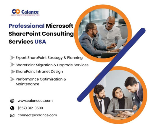 Professional Microsoft SharePoint Consulting Services USA.jpg