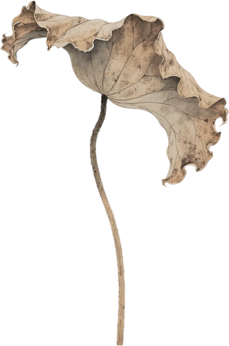 retouch 2025120423365915.png