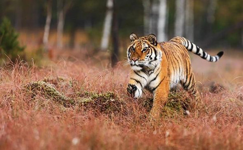 oByjszZOdDx F8R781Q7LXMauaMAz28ViysD AmeP3Rvty H i4LJKrA5Yj2wFJZYbVrj5oivTAavwmXcTkE EsTtvRXwS4m Sv2.jpg