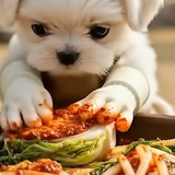 화면 캡처 2025 12 05 004407.png