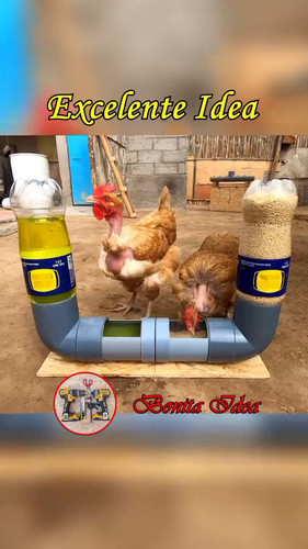 xAMiqLfszd wWNm0.jpg