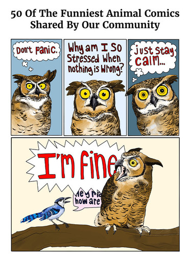best animal comics community part 2.jpg