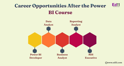 Power BI Developer (1).jpg
