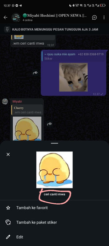 file.jpg
