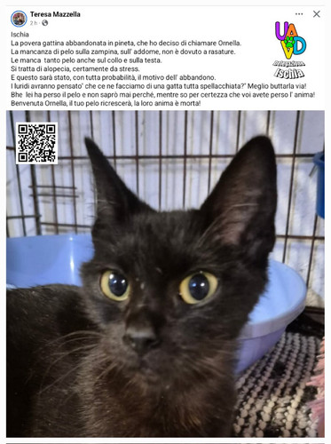 G6v su2XkAErGIU?format=jpg.jpg