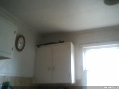 Snickers 05 29 17.jpg