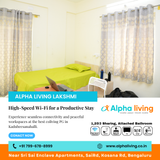 Ideal for remote workers and students who value focus.