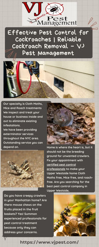 Effective Pest Control for Cockroaches  Reliable Cockroach Removal – VJ Pest Management.jpg