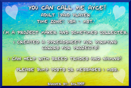ayce profile.png