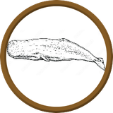 token baleia cachalote