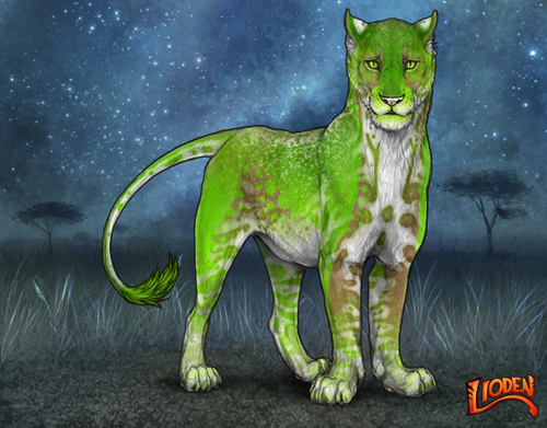 lioden wardrobe (3).png