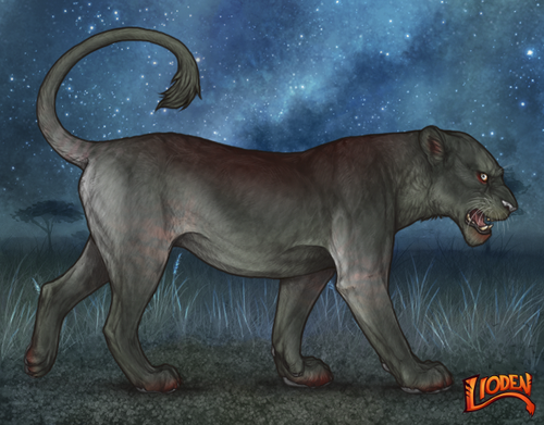 lioden wardrobe (4).png