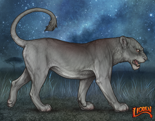 lioden wardrobe (5).png