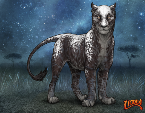 lioden wardrobe (7).png