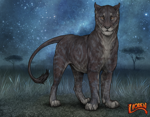 lioden wardrobe (6).png