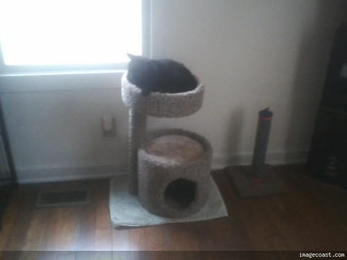 Snickers On 11720.jpg