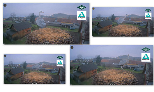 Bilder1.jpg