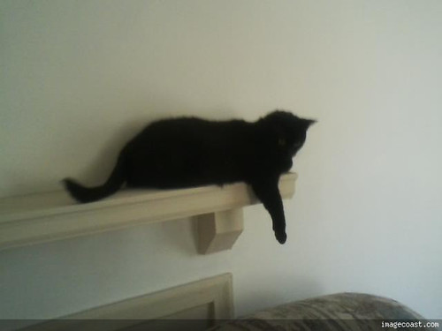 Snickers 9 06 19 6.jpg