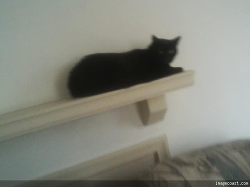 Snickers On 100819.jpg