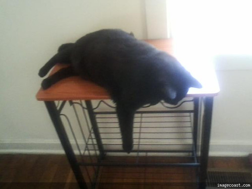 Snickers 9 18 19 1.jpg