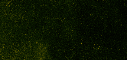 image (20) (3).png