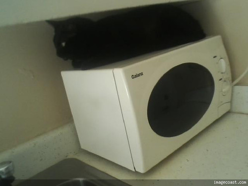 Snickers New Spot To Be Lazy 9 12 19.jpg