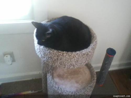 Snickers 12 30 19.jpg