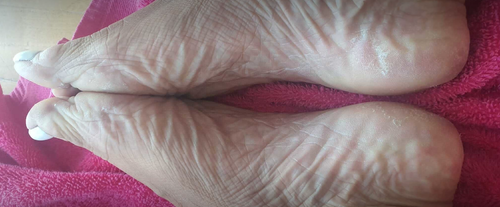 2025 11 13 18 46 onlyfans.com.png