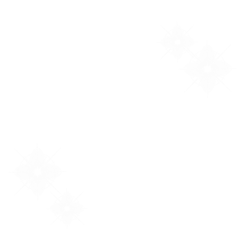 Shiny Overlay.png