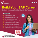 Level up your SAP skills in 2025 with Visualpath.