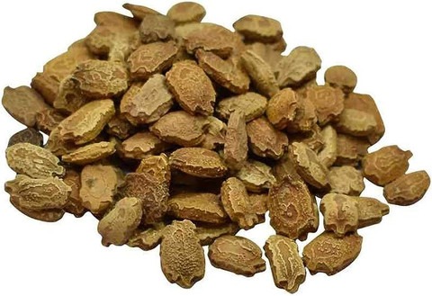 82 bitter gourd arshiayat origin.jpg