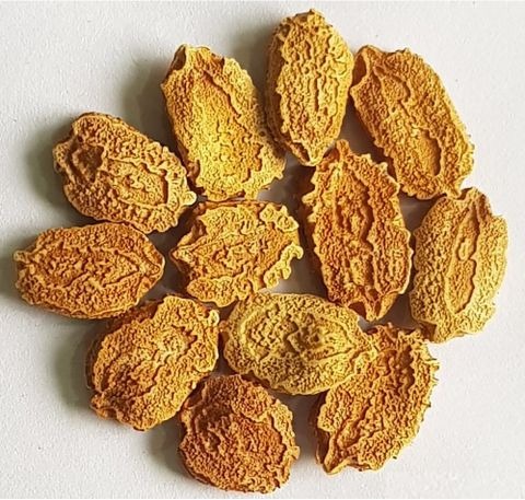 11 1bitter gourd seeds hybrid ar.jpg