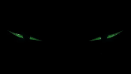 kitty swag eye.gif