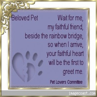 petloverssympathy3 400x400.jpg